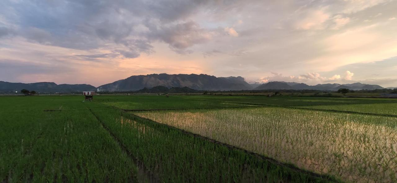 Eddie's Homestay Lhonga